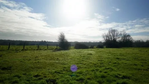 1000部高清免费观看的电视剧田园自然风光高清视频素材